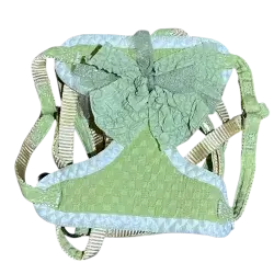 Leash & Harness S