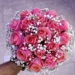 The Bride's Flower