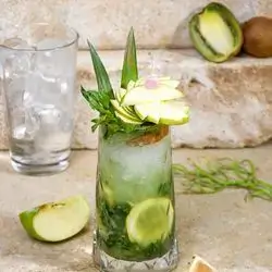 Green Apple Kiwi Mojito