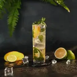 Mango Mojito
