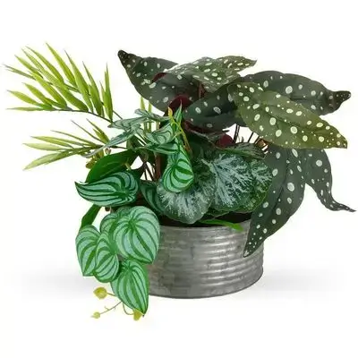 Artıfıcıal Plant In Pot H28Cm