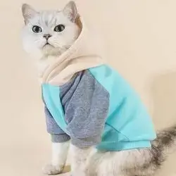 Hoodie L