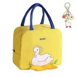 LUNCH BOX BAG