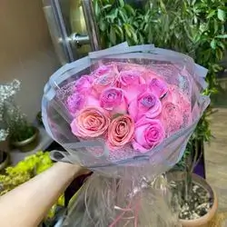 Pink Rose