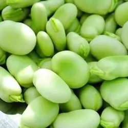 green beans