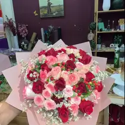 وردة الجوري أحمر ويا وردي