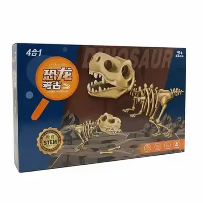 4 in 1 Dinosaur Excavation & Skeleton Assembly Kit