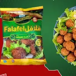 فلافل کیسە جیکۆر 