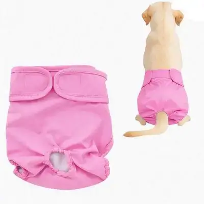 Dog Diaper M