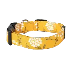 Collar S