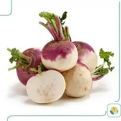 Turnip