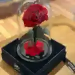Forever Flower with VIP Box