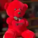 Teddy Bear