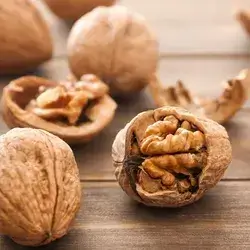 Walnut