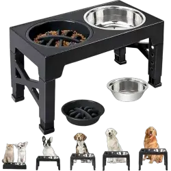 Dog Dual Bowl