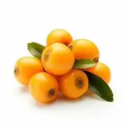 هەنگی دونیا
