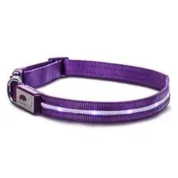 Safety Led Dog Leash