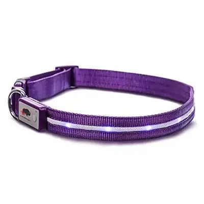 Safety Led Dog Leash