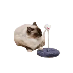 E317 Cat Toy (Small)