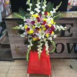 Stand Flowers-Colors