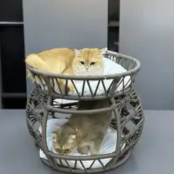 Hand-Made Double Pet Bed