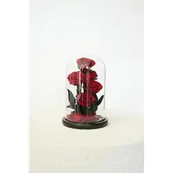 6 Natural Flowers