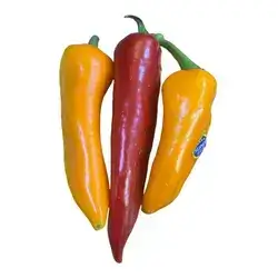Colorful Pepper