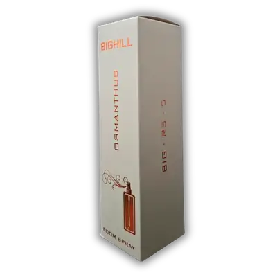 BIGHIL Air Freshener Spray 250 ml