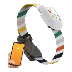 PetKit Collar