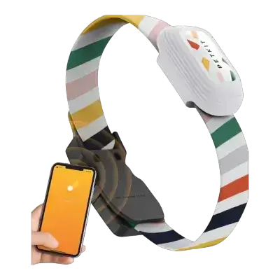 PetKit Collar