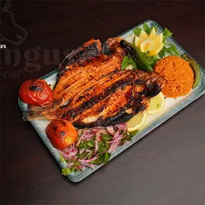 Jubra Fish