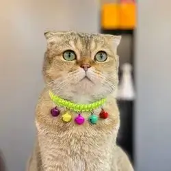 Cat Collar Free Size