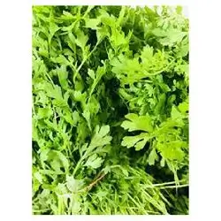 Fresh Rshad Bunch