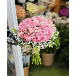 Baby Rose