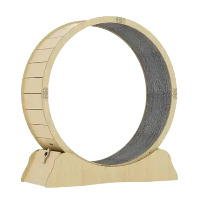 E656 exercise wheel for cats.