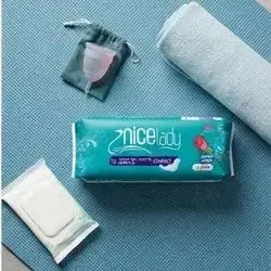 Nice Lady Compact Sanitary 10 Pads