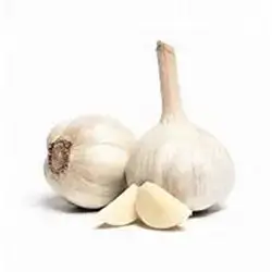 Local Green Garlic Kg