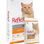 Big Cat Food (Reflex)