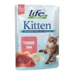 life cat kitten