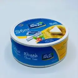Salim Triangle Cheese 24 Pieces