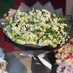 Flower Bouquet chamomile
