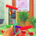 Bird Games