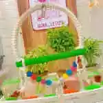 Bird Games