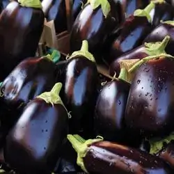 Eggplant
