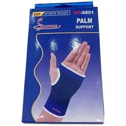 Palm support
