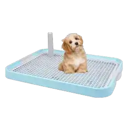 Dog Toilet