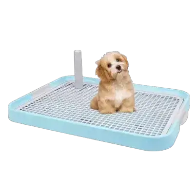 Dog Toilet