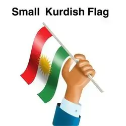 Kurdish flag
