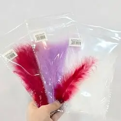 Feather box eccsuar