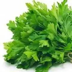 leaved parsley